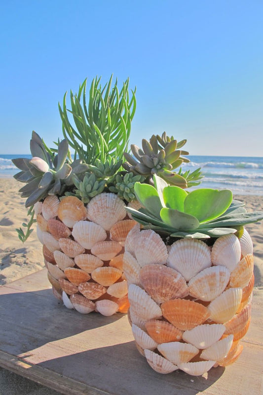 DIY SEASHELL PLANTER