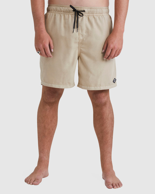 Mens All Day Overdye Layback Boardshorts