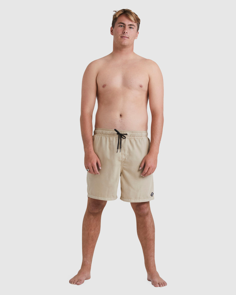 Mens All Day Overdye Layback Boardshorts