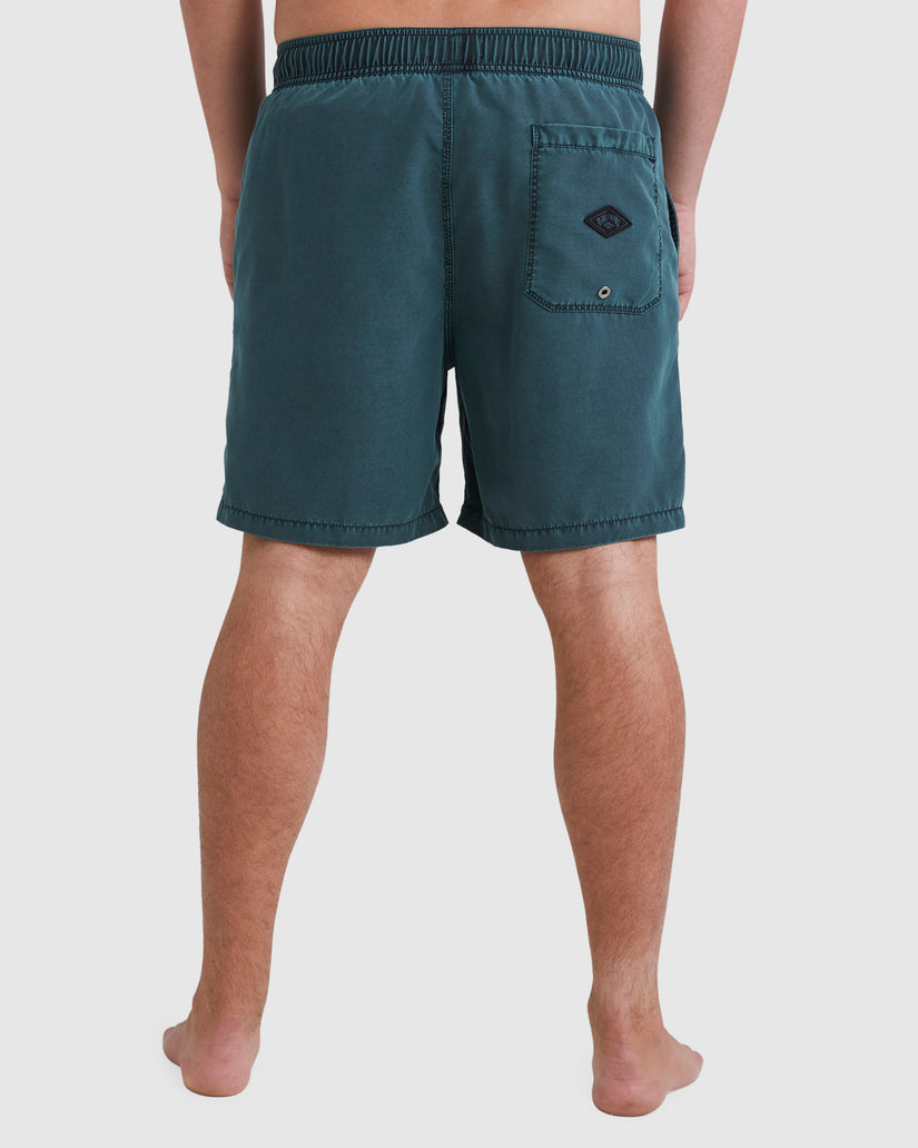 Mens All Day Overdye Layback Boardshorts