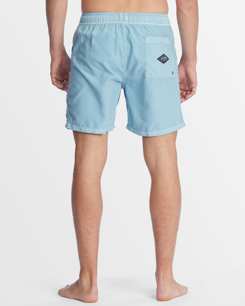 Mens All Day Overdye Layback Boardshorts