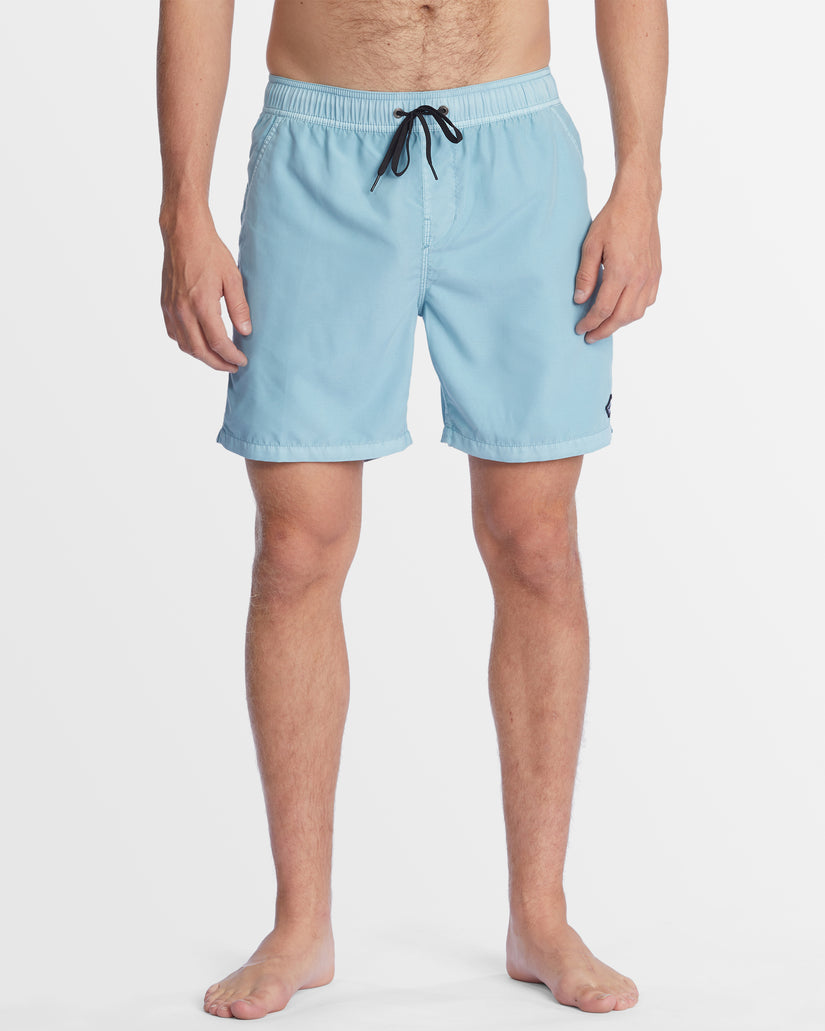 Mens All Day Overdye Layback Boardshorts