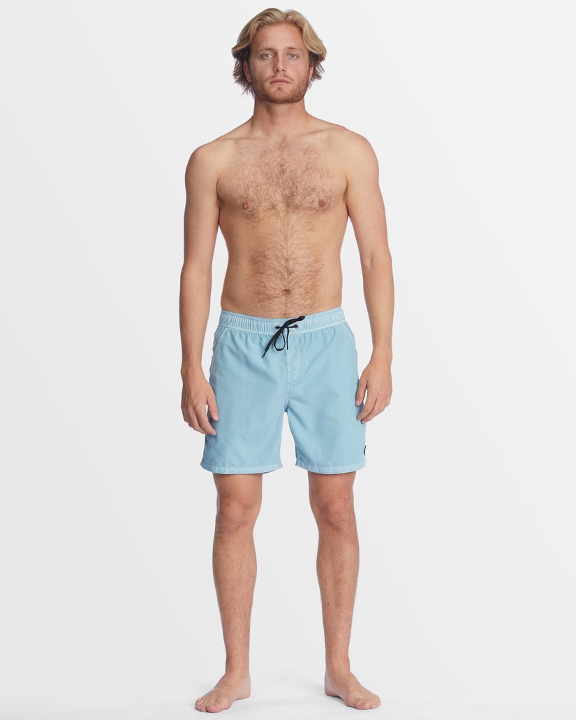 Mens All Day Overdye Layback Boardshorts