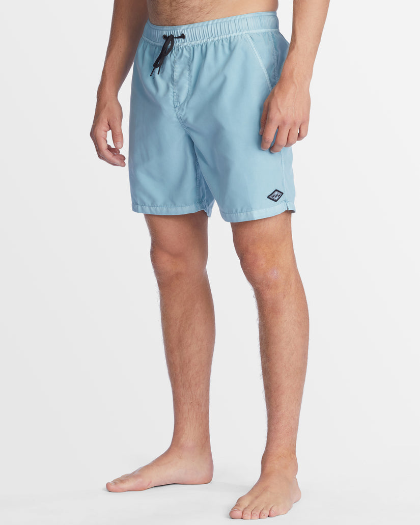 Mens All Day Overdye Layback Boardshorts