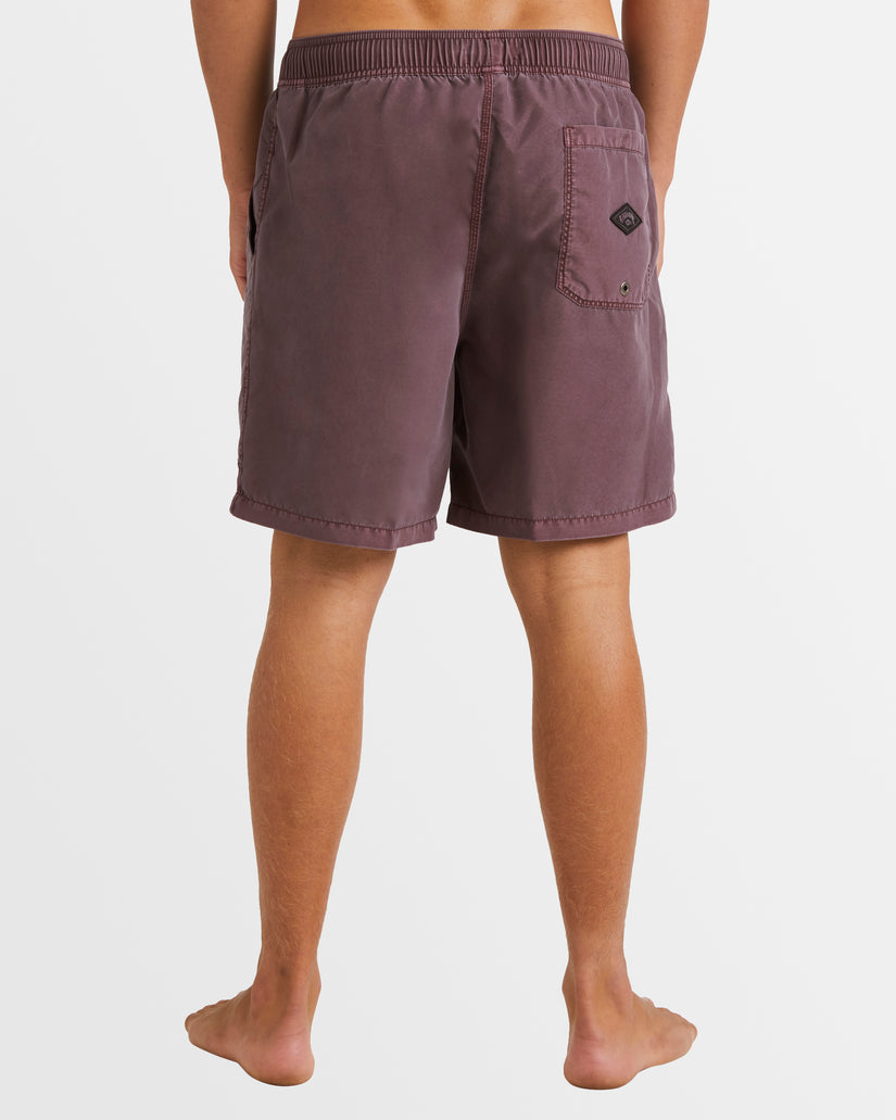 Mens All Day Overdye Layback Boardshorts