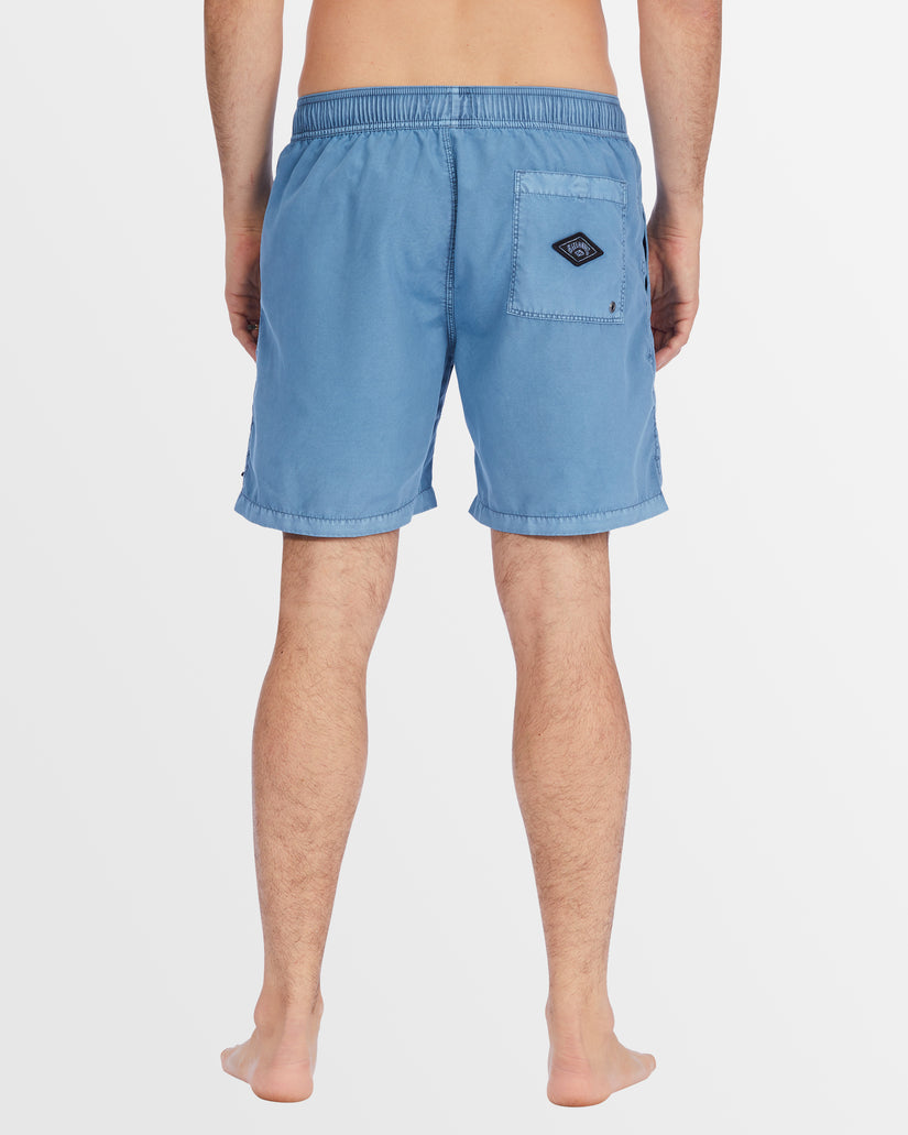 Mens All Day Overdye Layback Boardshorts