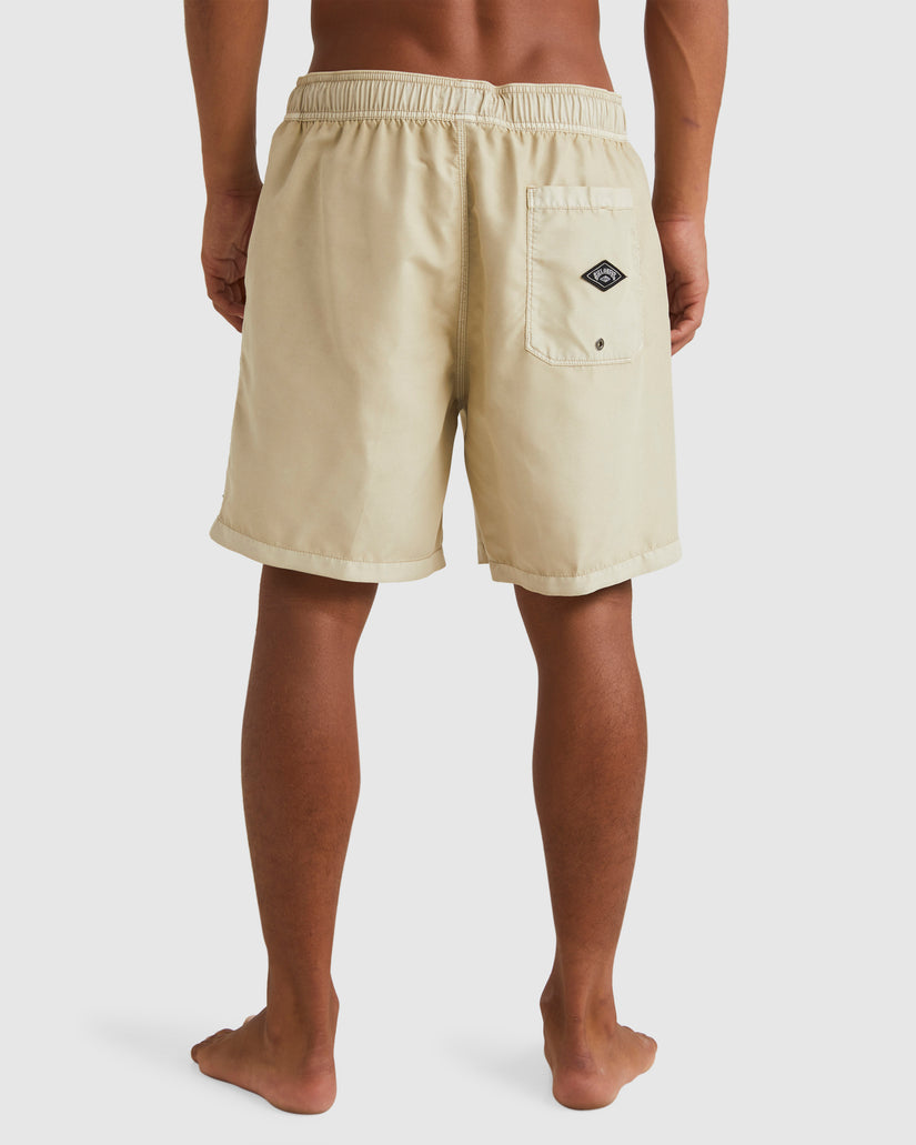 Mens All Day Overdye Layback Boardshorts