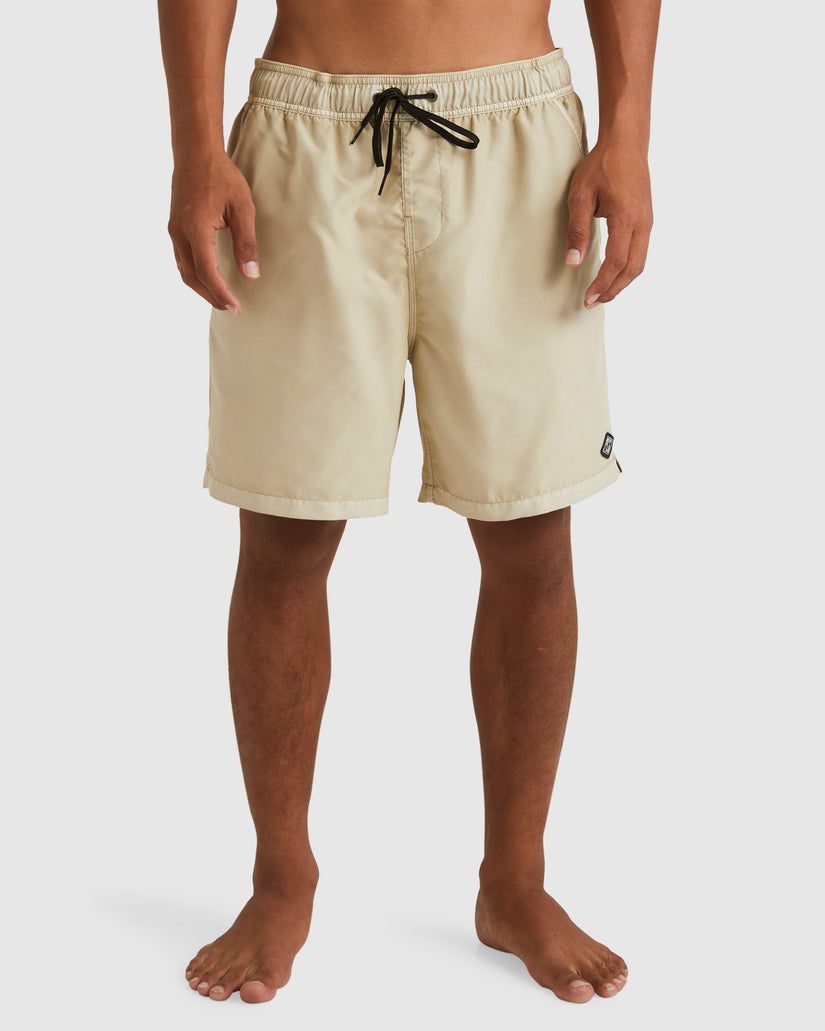 Mens All Day Overdye Layback Boardshorts