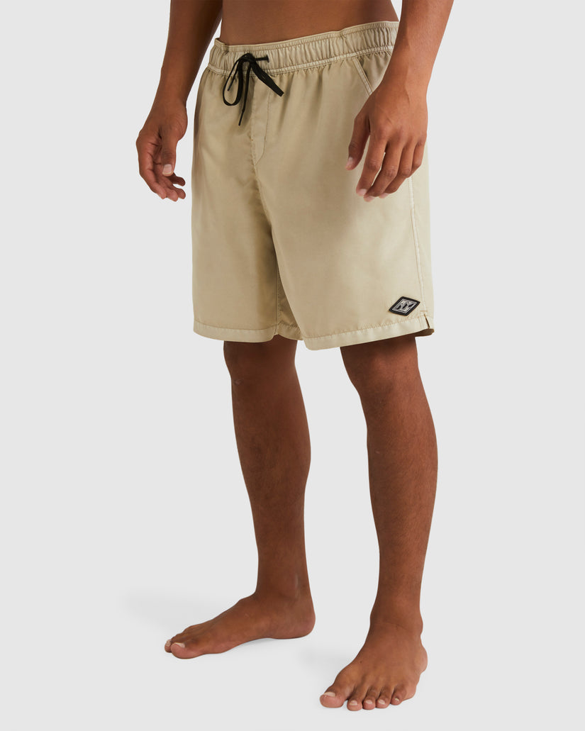 Mens All Day Overdye Layback Boardshorts