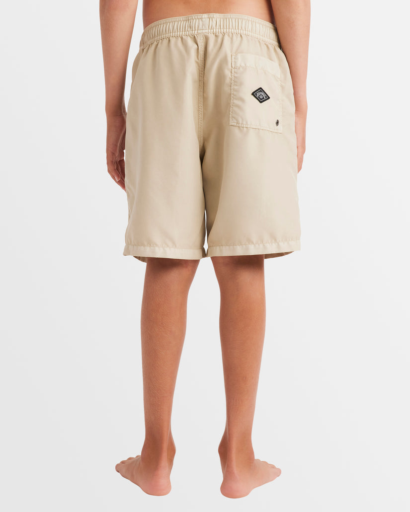 Boys 8-16 All Day Overdye Layback Boardshorts