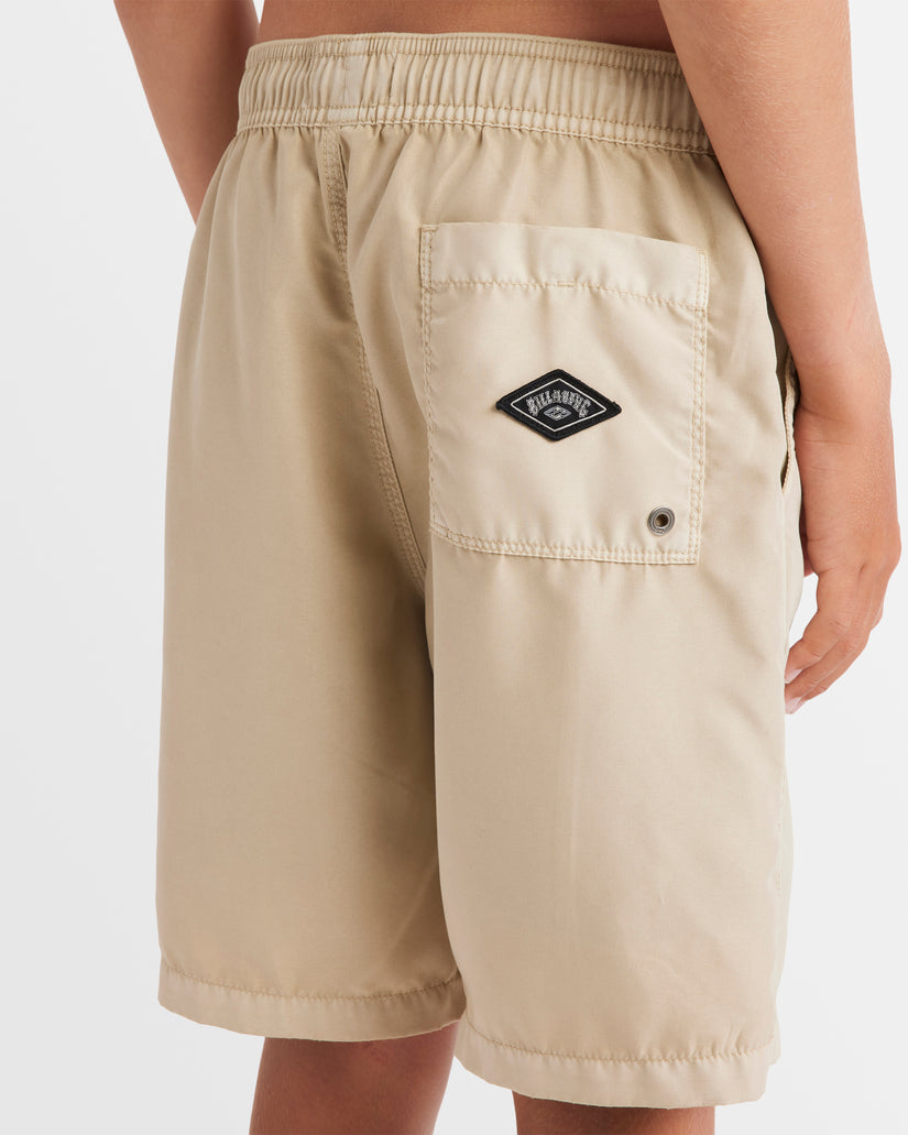 Boys 8-16 All Day Overdye Layback Boardshorts