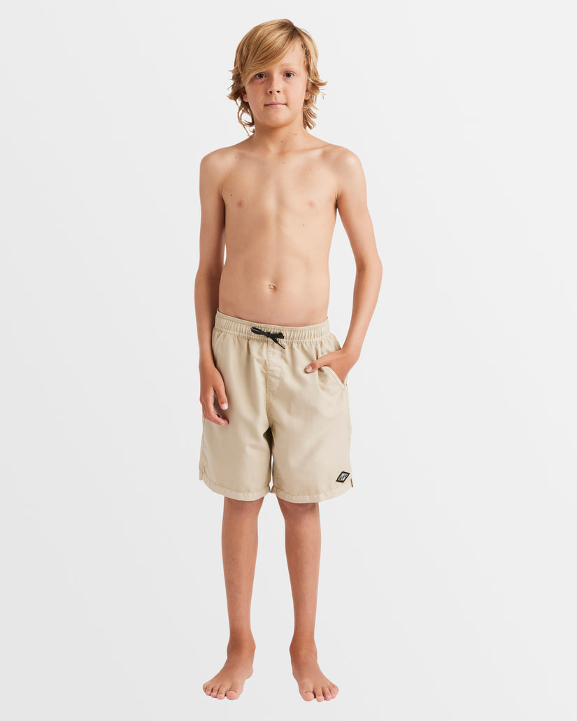 Boys 8-16 All Day Overdye Layback Boardshorts