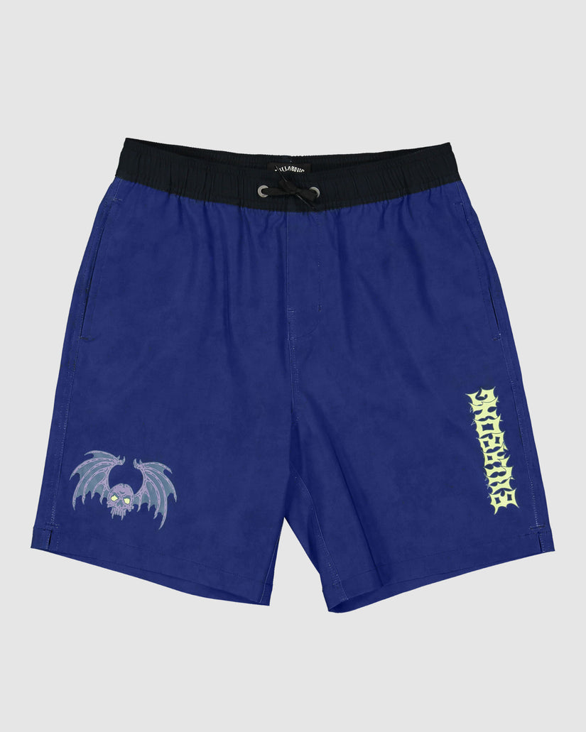 Boys 8-16 Afterlife Layback Boardshorts