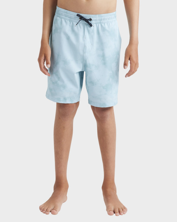 Boys 8-16 Dbah Layback Boardshorts