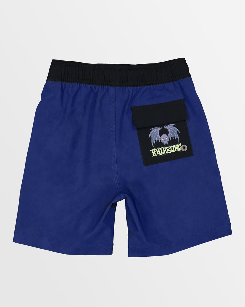 Boys 0-7 Afterlife Elastic Boardshorts